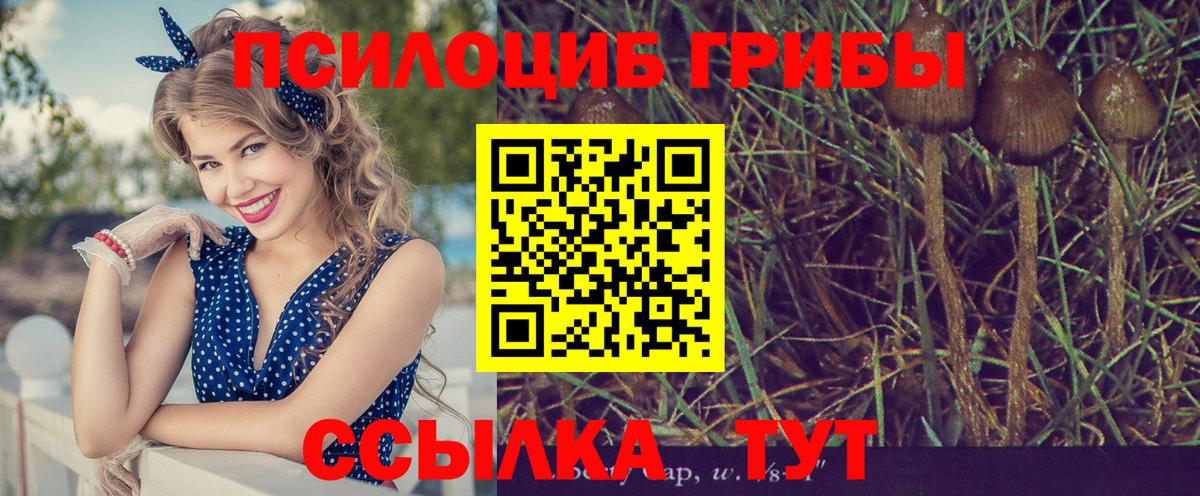 Галлюциногенные грибы ЛСД  Вход с VPN  Прохладный 
