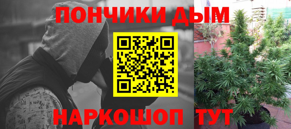 Марихуана семена  Бошки марихуана марихуана  Прохладный  Вход с VPN  Конопля планчик  Бошки Шишки THC 21% 